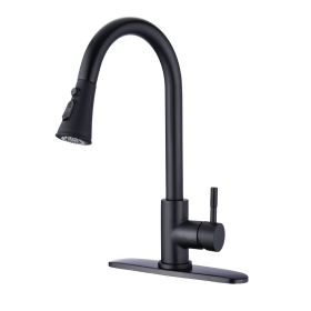 Pull Down Kitchen Faucet with Sprayer Stainless Steel Matte Black