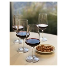 Plastic Wine Glasses Set of 4 (19oz), BPA Free Tritan Lexington Wine Glass Set, Unbreakable Red Wine Glasses, White Wine Glasses